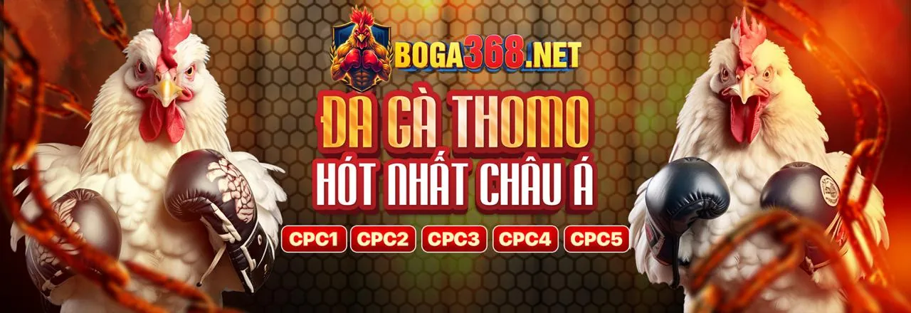 Đá Gà Trực Tuyến Hấp Dẫn tại abc8 tặng 88k